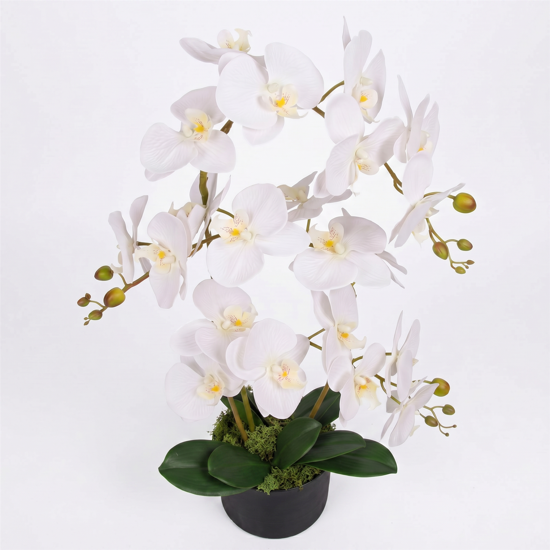 65cm Botanik Realistic Artificial Orchid Flower Display in Pot