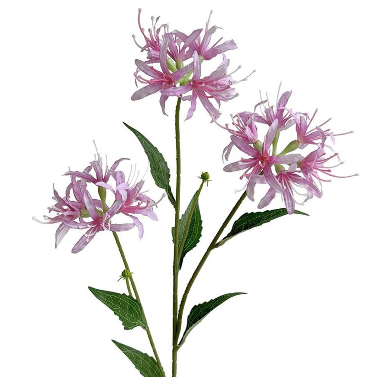 Faux Spider Lily Stems, 72cm with 3 Flower Heads - Set of 6
