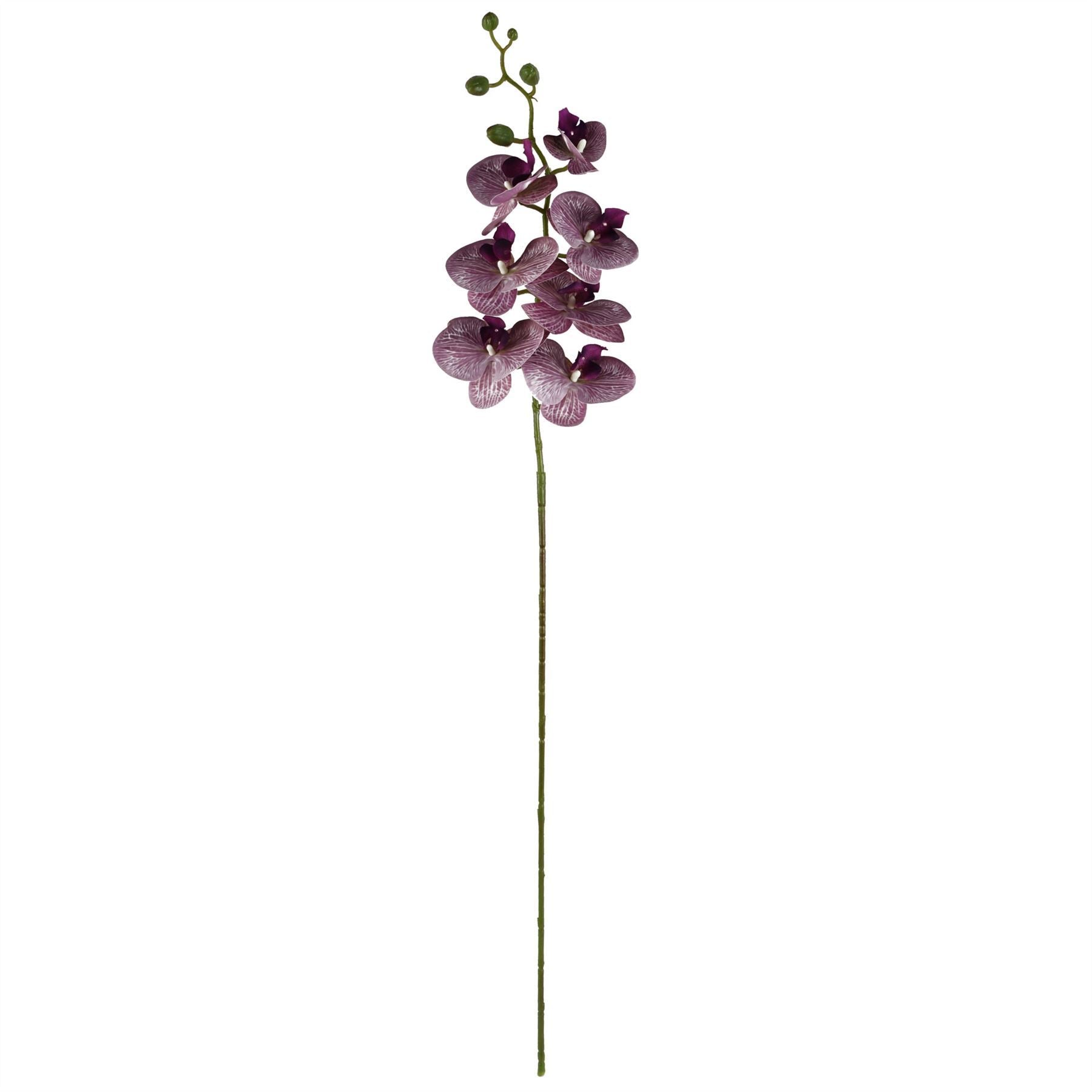 70cm Grey Glass Vase Artificial Orchids and Roses - Premium Quality