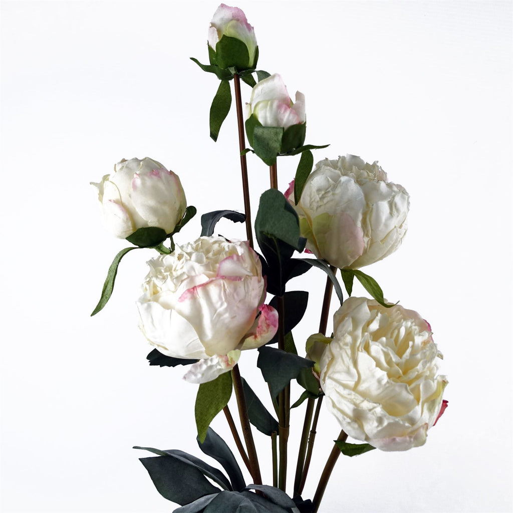 6 x 55cm Cream Peony Artificial Flower Stems - 24 flowers 18 buds - Premium Quality