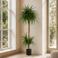 180cm Dracaena Realistic Artificial Tree - Premium Quality