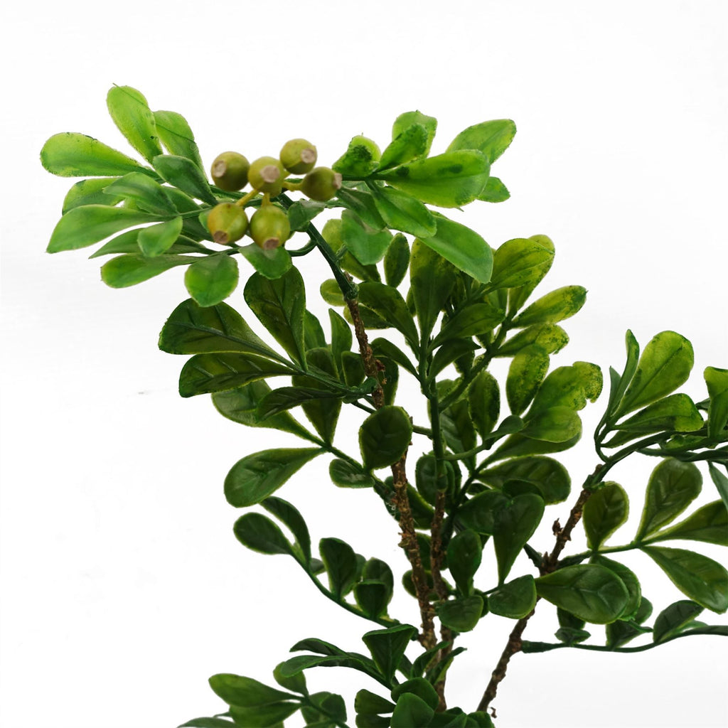 45cm Artificial Aglaia Odorata Bonsai Ficus Tree - Premium Quality