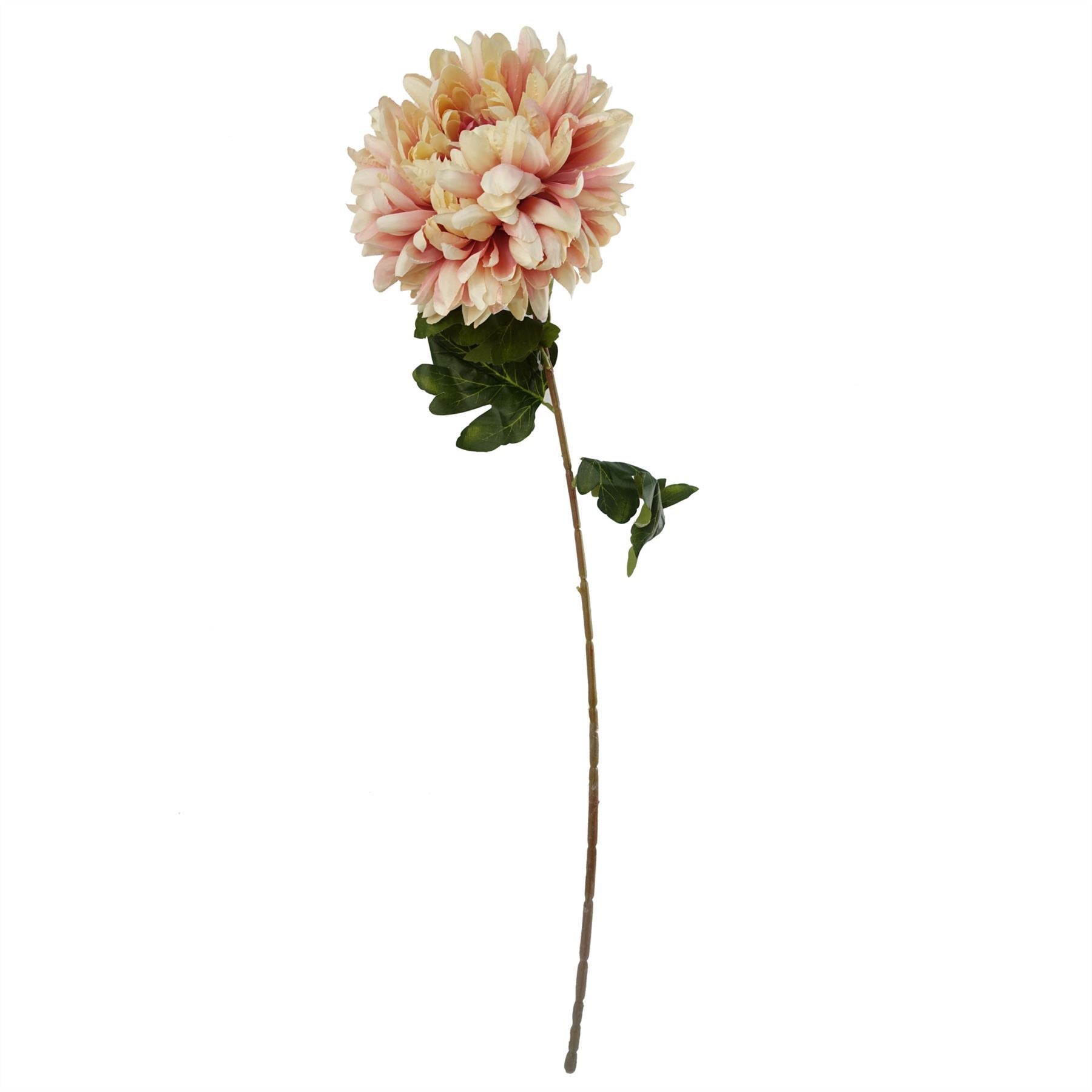 60cm Artificial Pink Chrysanthemum Display Glass Bubble Vase - Premium Quality
