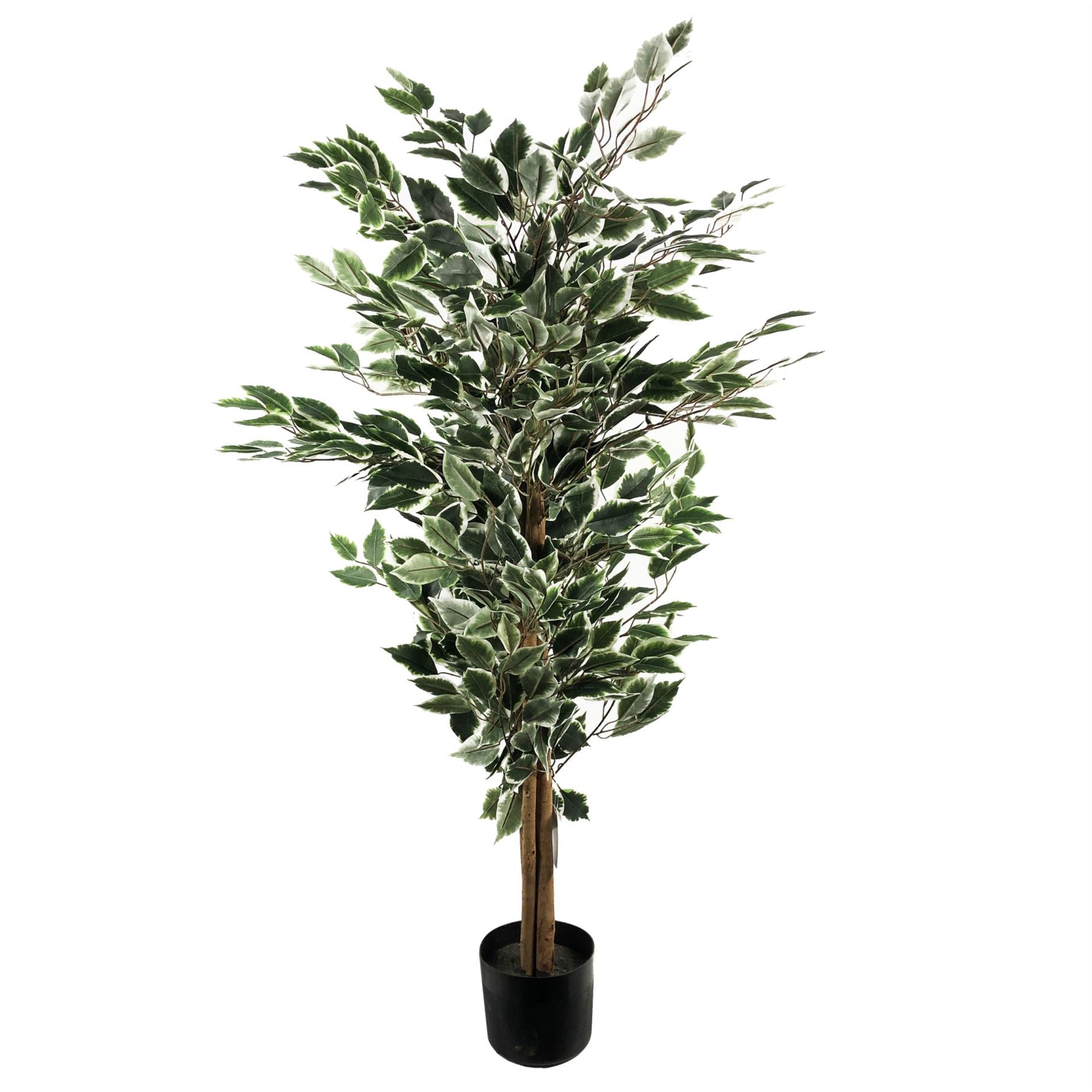 130cm Artificial Tall Variegated WhiteandGreen Bushy Ficus Tree