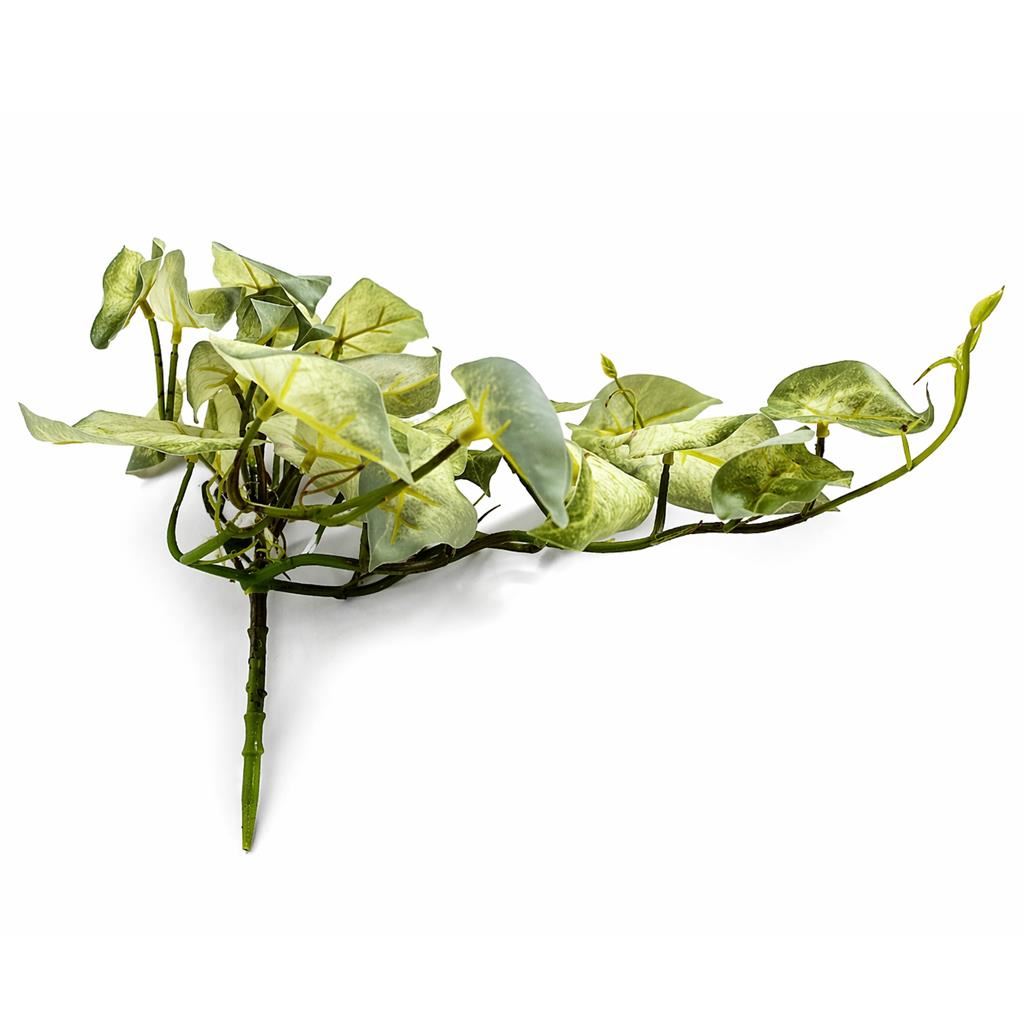 25cm Artificial Trailing Variegated Caladium Vine Plant Light Green - Premium Quality