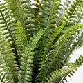 74cm Artificial Fern Plant - Premium Quality
