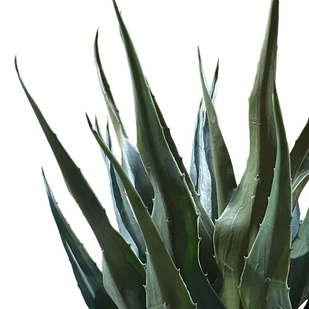 70cm Agave Tropical Yucca Artificial - Premium Quality (image 2 of 4)