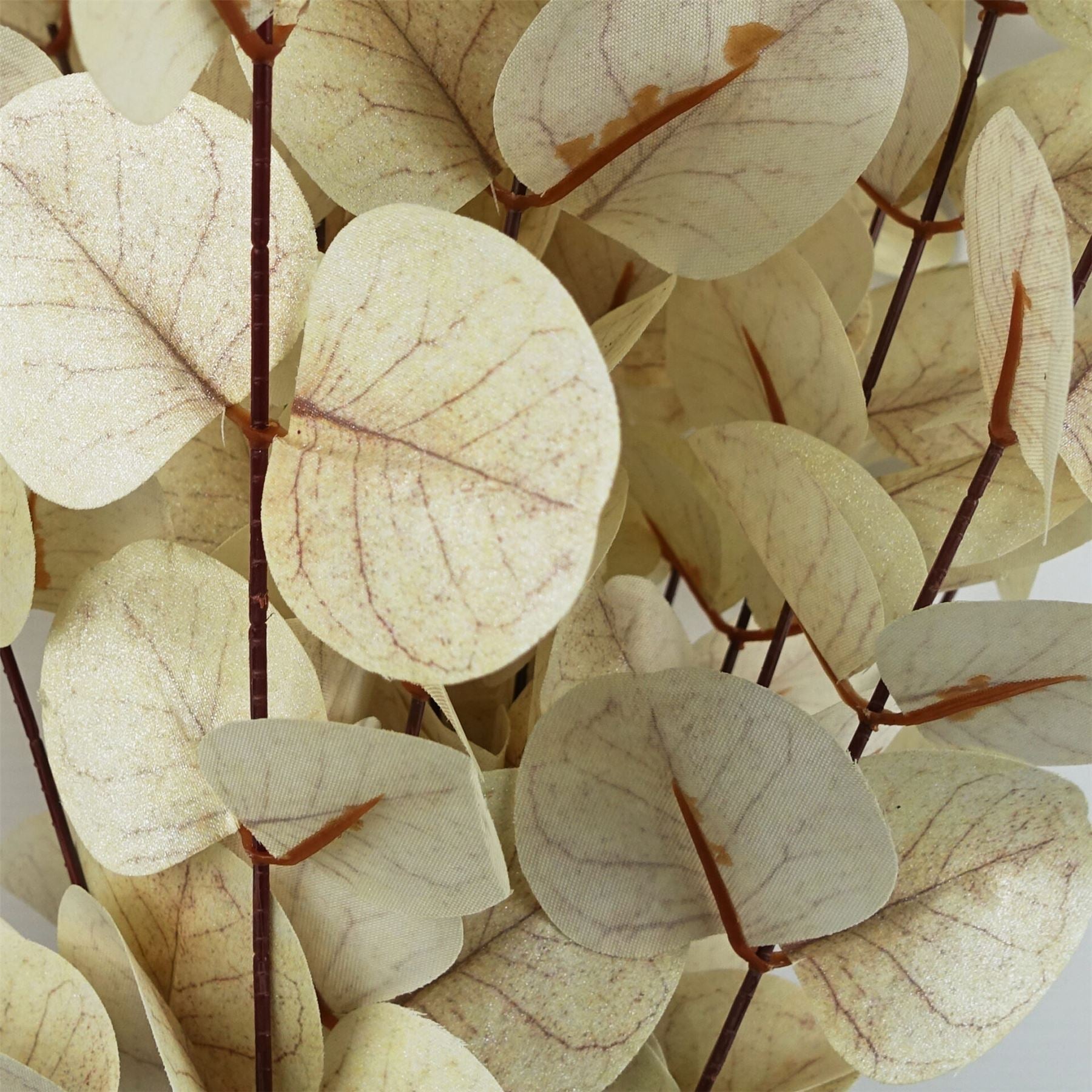 Artificial Pack of 6 x 80cm White Eucalyptus Foliage Stem - Premium Quality