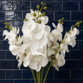 Pack of 6 x 100cm Artificial Phalaenopsis Orchid White Stem - Premium Quality