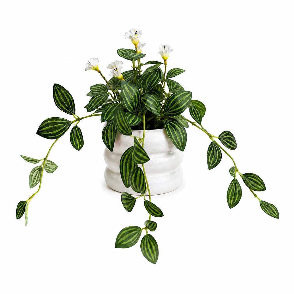 Faux Trailing Variegated Leaf Plant with Flowers, 45cm in White Pot