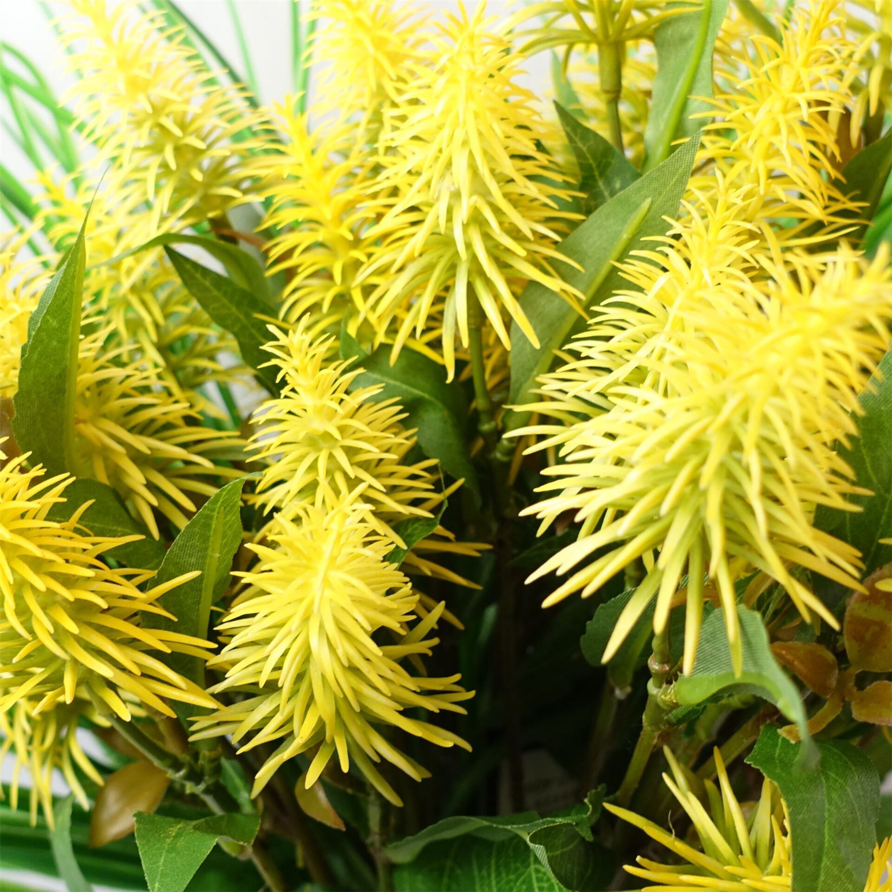 Artificial Pack of 6 x 55cm Callistemon Pallidus Yellow Bottle Brush Stem - Premium Quality