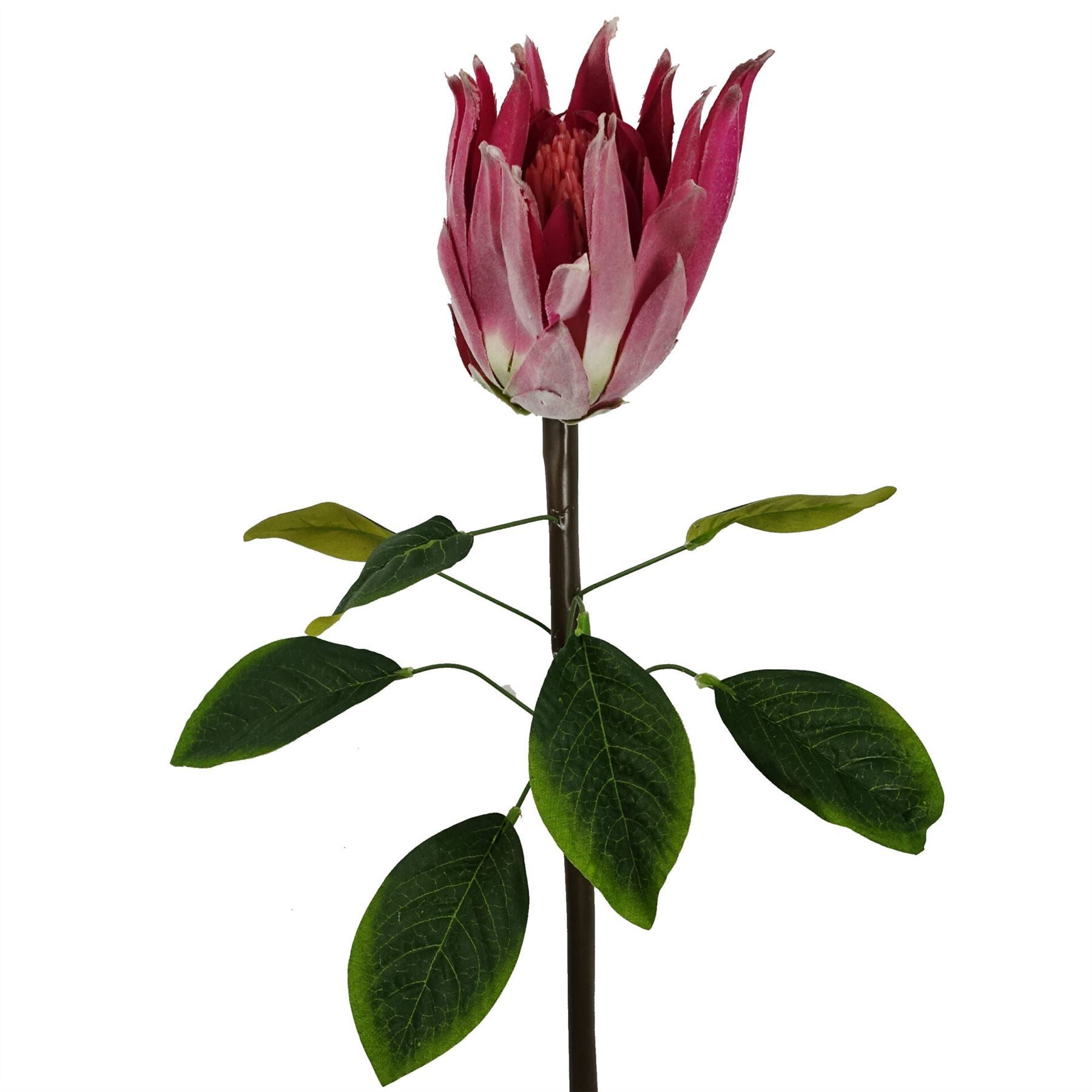 Artificial Pack of 6 x 65cm Protea Sugarbush Flower Stem - Pink - Premium Quality