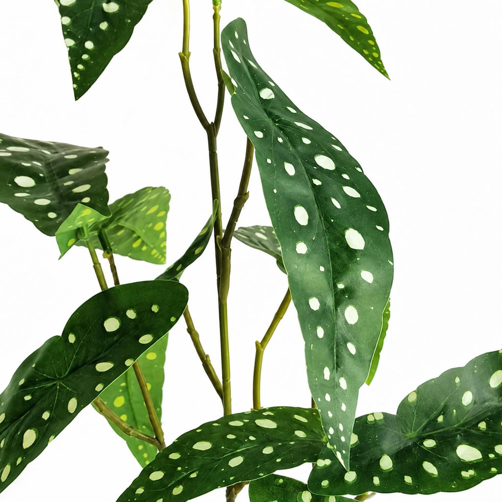 Faux Begonia Maculata Stems, 80cm Silver-Spotted Foliage - Set of 6