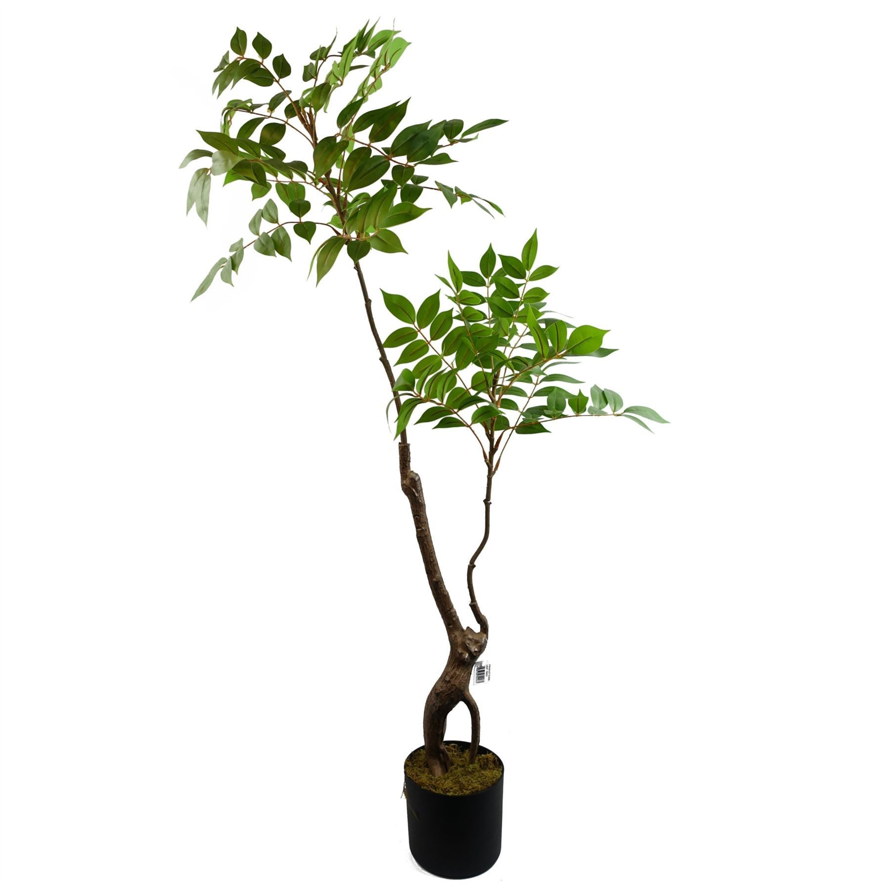 110cm Artificial Toona Sinensis Tree Evergreen - Premium Quality