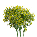 Artificial Pack of 6 x 55cm Gypsophila Yellow Stem - Premium Quality