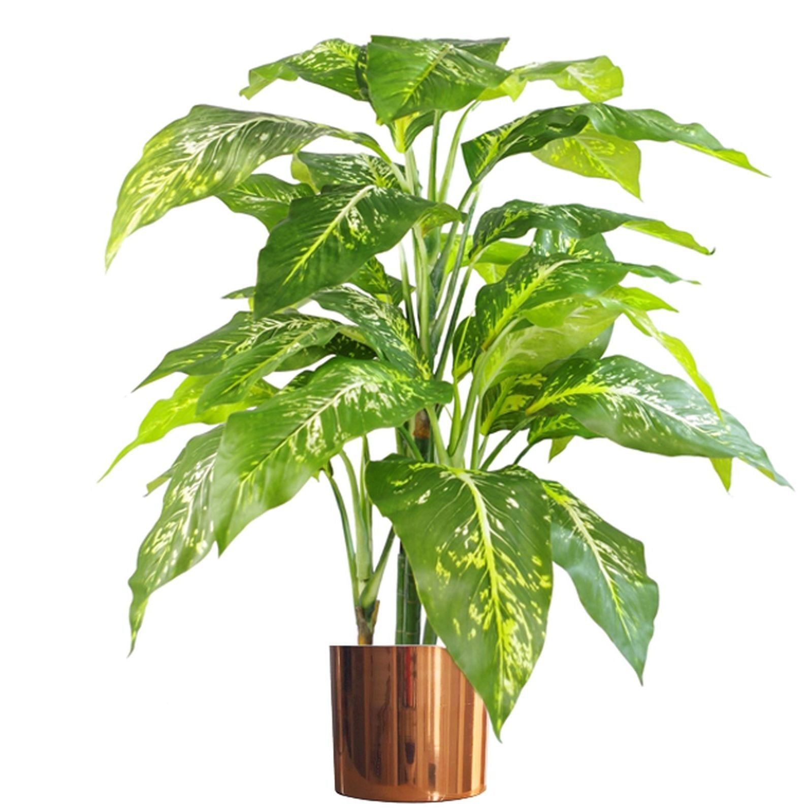 100cm Large Fox's Aglaonema (Spotted Evergreen) Tree Artificial Plant