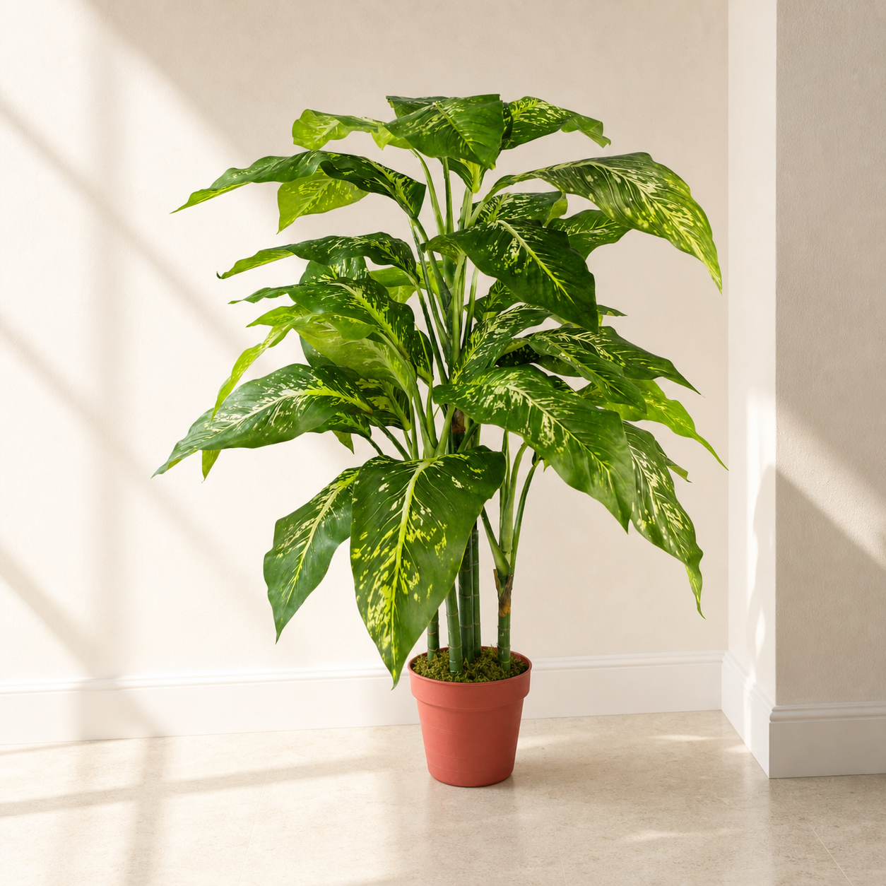 100cm Large Fox's Aglaonema (Spotted Evergreen) Tree Artificial Plant