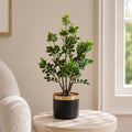 60cm Artificial Aglaia Odorata Bonsai Ficus Tree - Premium Quality