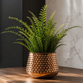 18cm Antique Copper Metal Planter by Botanik - Premium Quality