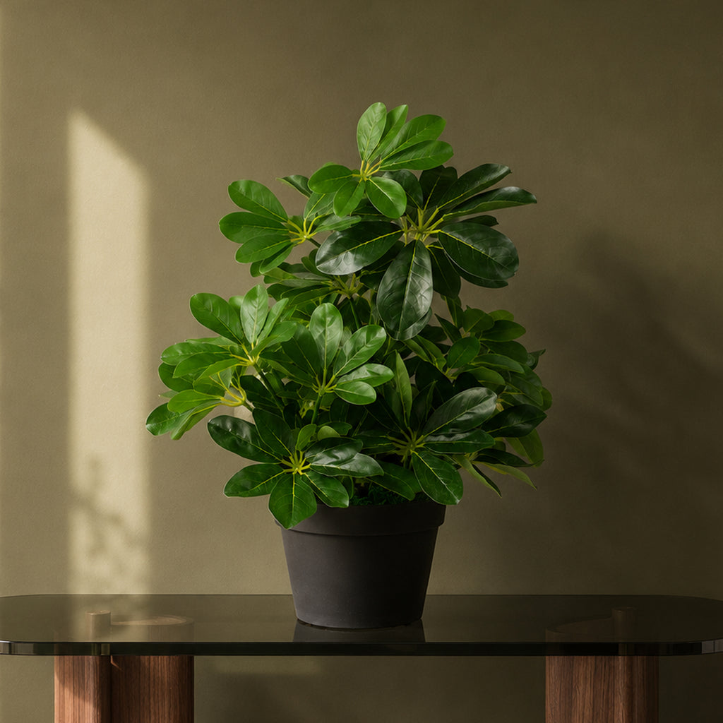 55cm Dark Green Artificial Umbrella Plant