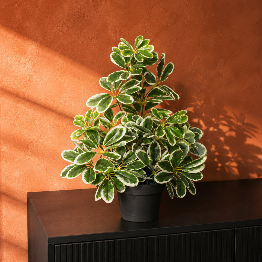 55cm Variegated Artificial Umbrella Plant