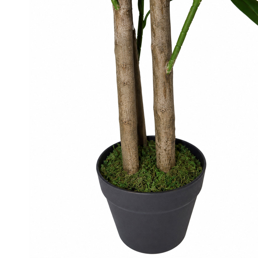95cm Umbrella Tree Dark Green Artificial Ficus Plant (image 5 of 5)