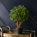 45cm Artificial Fire Retardant Mini Ficus Topiary Ball Plant - Premium Quality