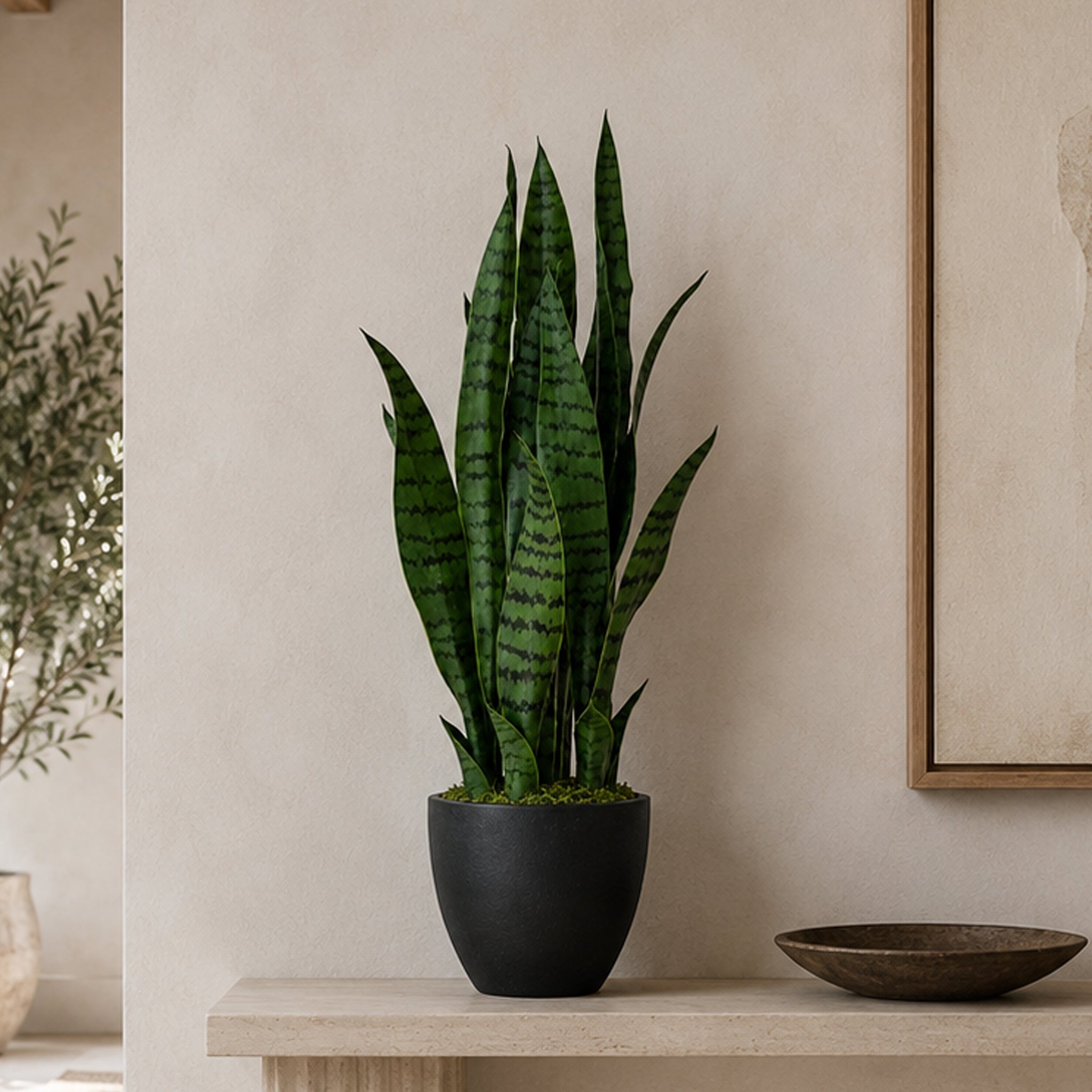 70cm Artificial Sansevieria Dark Green - Premium Quality