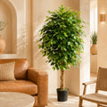 150cm Artificial Ficus Tree - Premium Quality