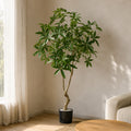 180cm Artificial Money Tree Pachira Realistic Faux Tree - Premium Quality