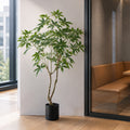 150cm Artificial Money Tree Pachira Realistic Faux Tree - Premium Quality