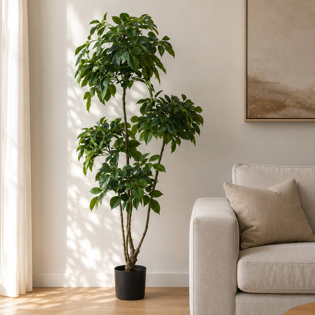 150cm Radermachera Realistic Artificial Tree - Premium Quality