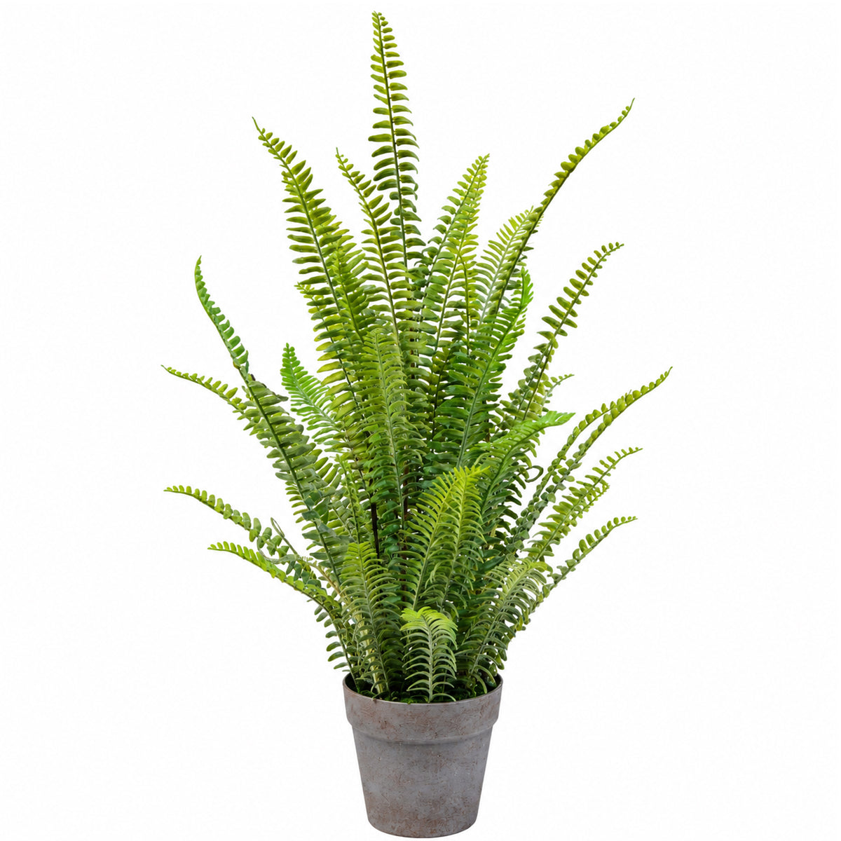 74cm Artificial Fern Plant - Premium Quality