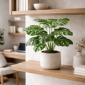 60cm Leaf realistic Artificial Monstera Cheese Plant