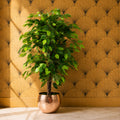 90cm Artificial Ficus Tree / Plant -Copper Metal Planter - Premium Quality