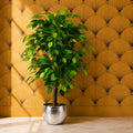 90cm Artificial Ficus Tree / Plant - Silver Metal Planter - Premium Quality
