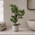 45cm Artificial Aglaia Odorata Bonsai Ficus Tree - Premium Quality
