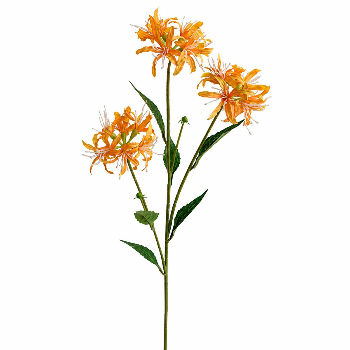 Faux Spider Lily Stems, 72cm with 3 Flower Heads - Set of 6