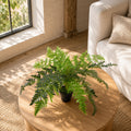 50cm Luxury Artificial Evergreen Fern Plant