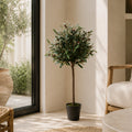 90cm Botanik Realistic Artificial Olive Tree in Black Plastic Pot