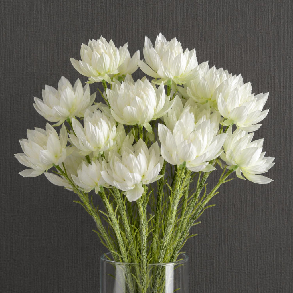 Pack of 6 x 60cm White Starflower Stem - 30 Flowers - Premium Quality