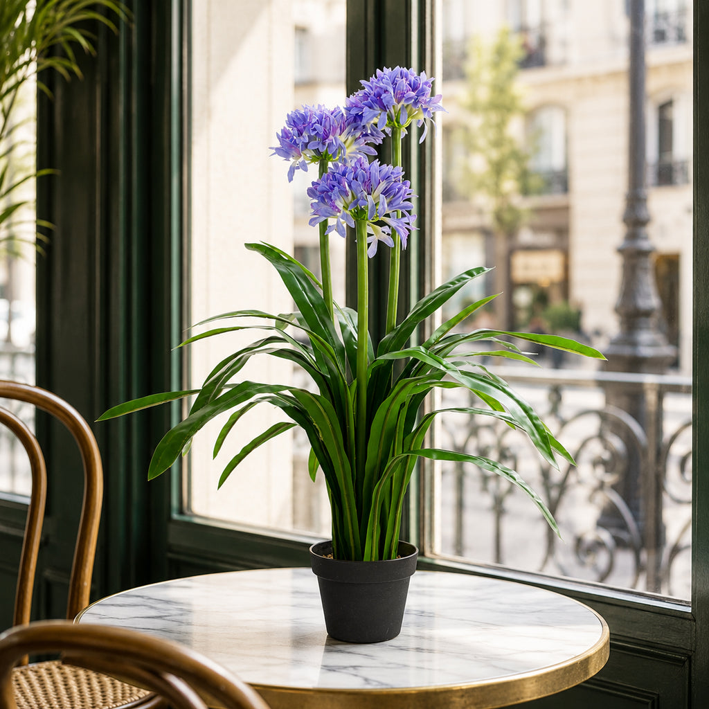 90cm Premium Artificial Agapanthus with pot BLUE