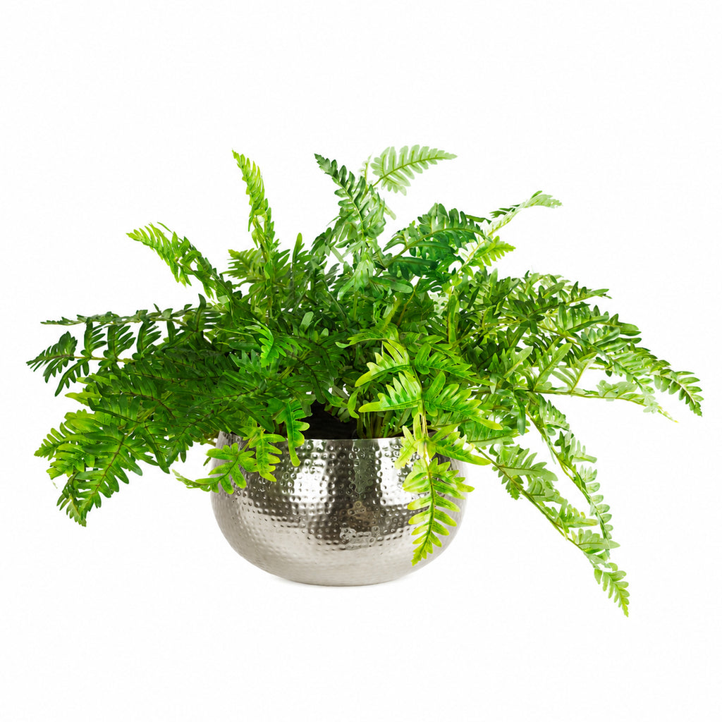 Large Artificial Ferns Display with XL Metal Silver Bowl Planter 50x65cm - Premium Quality