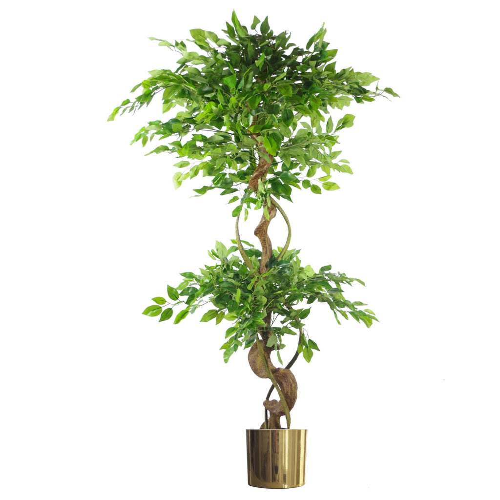 150cm Twisted Trunk Artificial Japanese Fruticosa Style Ficus Tree