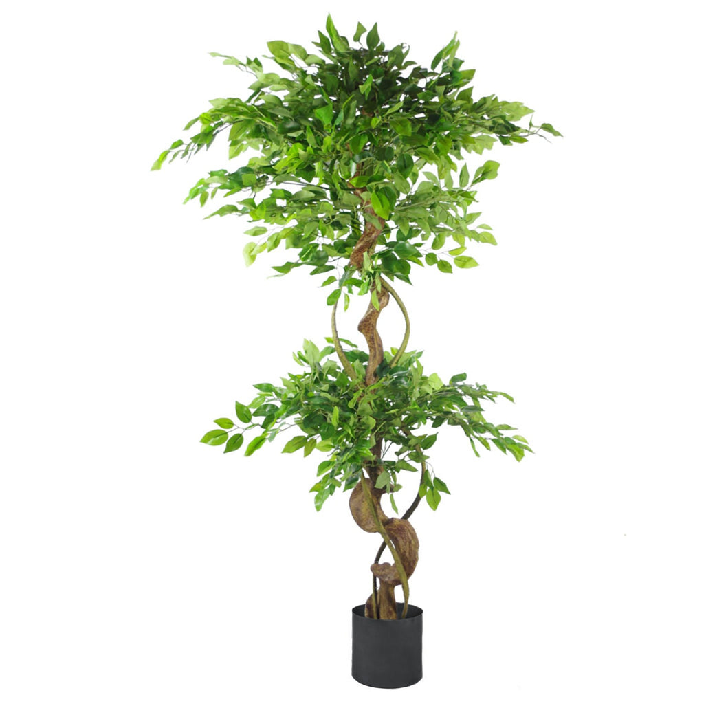 150cm Twisted Trunk Artificial Japanese Fruticosa Style Ficus Tree