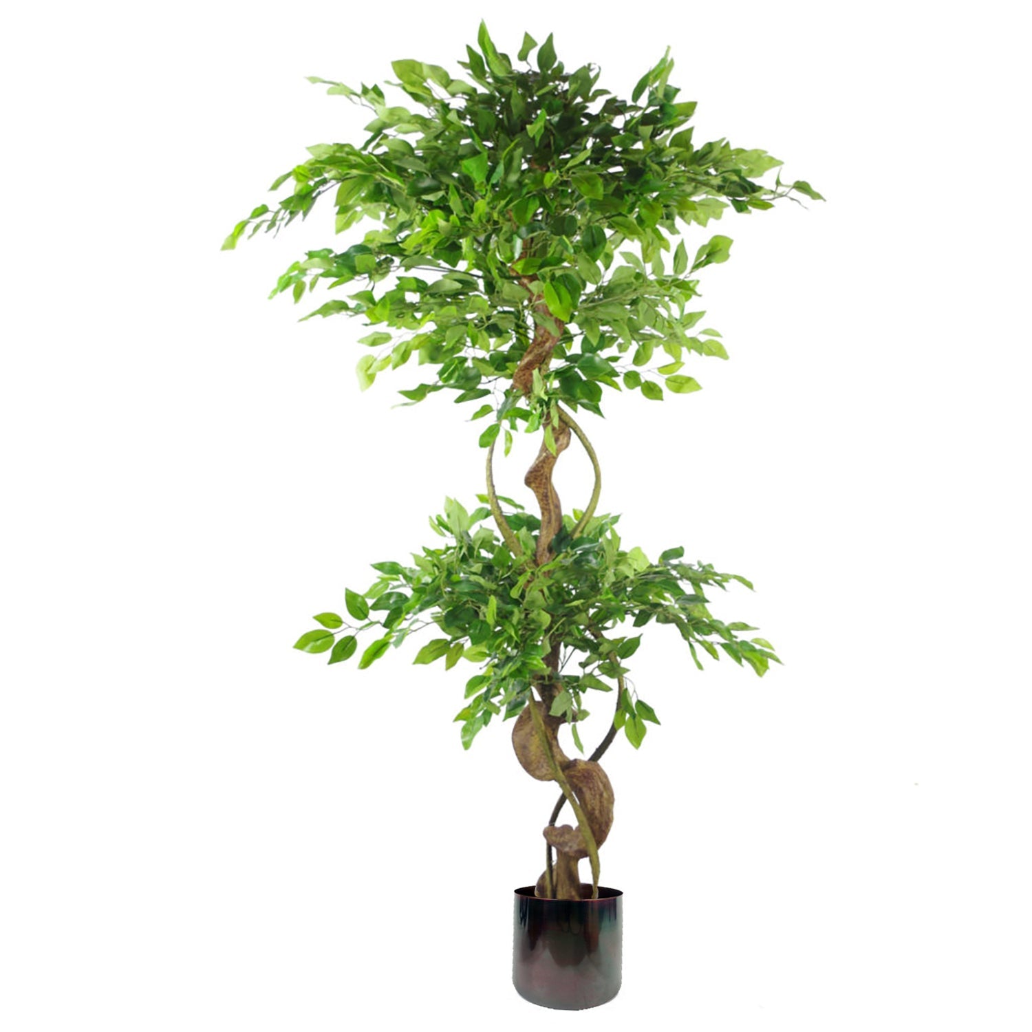 150cm Twisted Trunk Artificial Japanese Fruticosa Style Ficus Tree