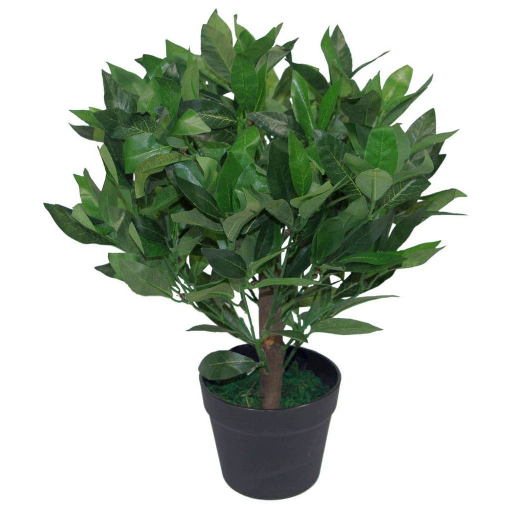 50cm Botanik Artificial Realistic Bay Laurel Topiary Ball Tree