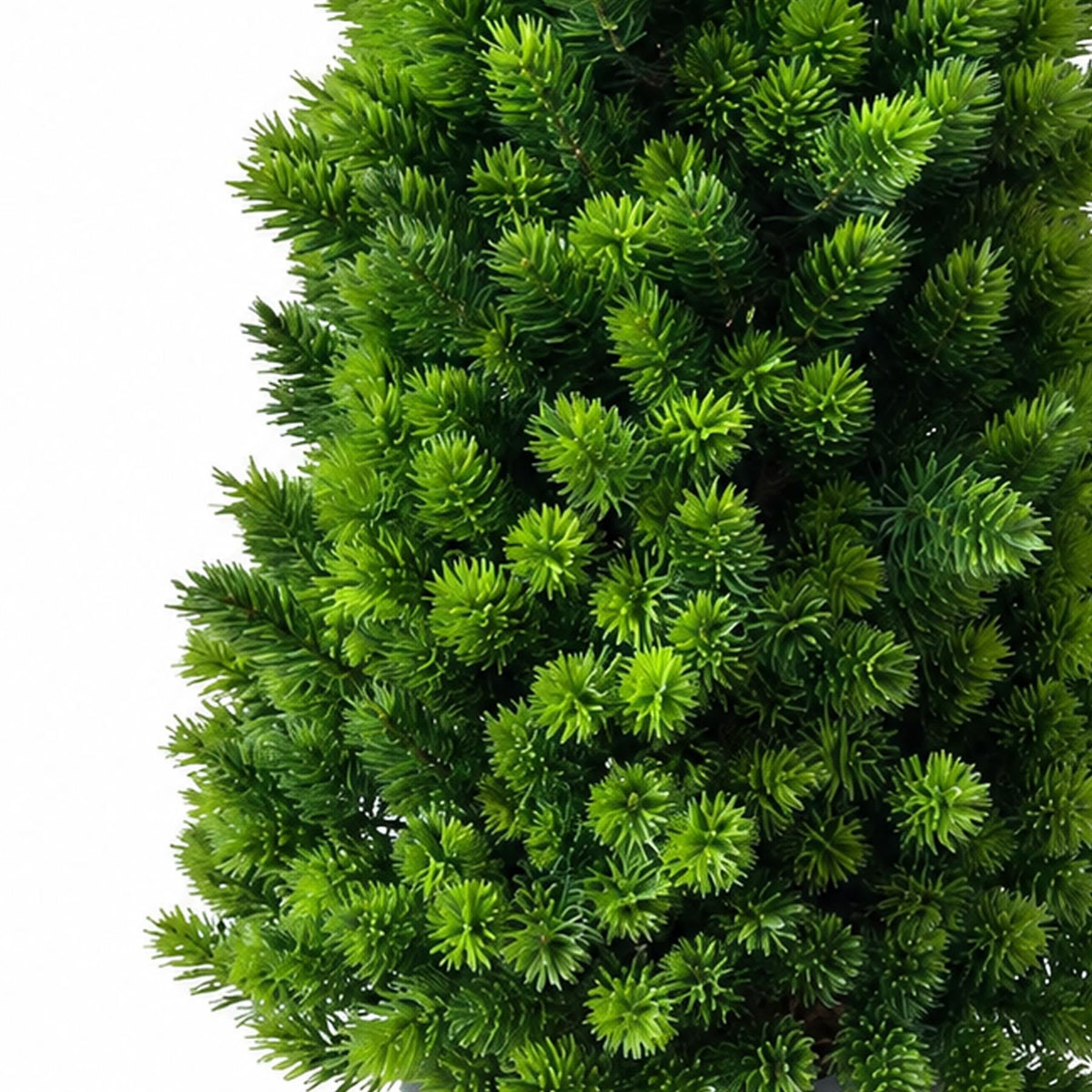 Faux Mini Pine Tree in Dark Pot, 34cm Tabletop Evergreen Plant