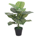 60cm Artificial Green Stripe Botanik Plant - Premium Quality