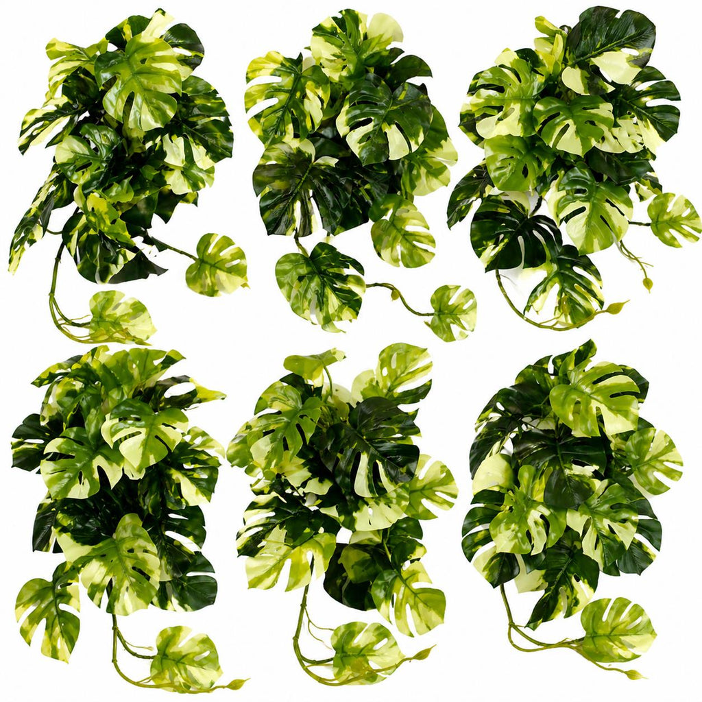 25cm Artificial Trailing Variegated Monstera Vine Plant - Premium Quality